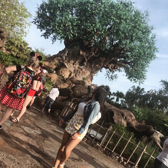 Meet your Posher, Lummy - Picture 1 of 1